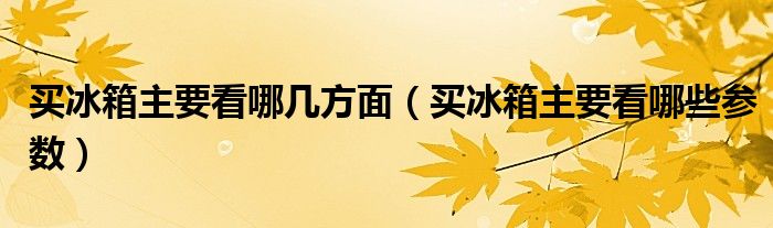 买冰箱主要看哪几方面（买冰箱主要看哪些参数）