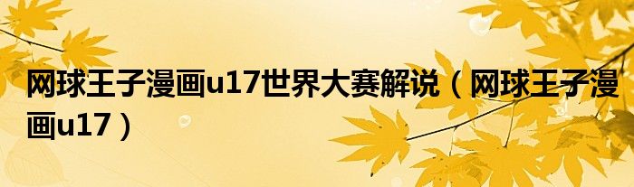 网球王子漫画u17世界大赛解说（网球王子漫画u17）