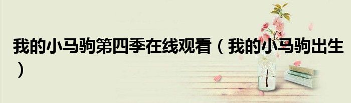 我的小马驹第四季在线观看（我的小马驹出生）