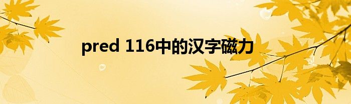 pred 116中的汉字磁力