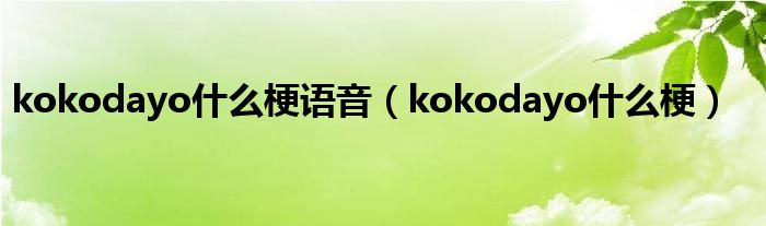 kokodayo什么梗语音（kokodayo什么梗）