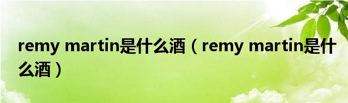 remy martin是什么酒（remy martin是什么酒）