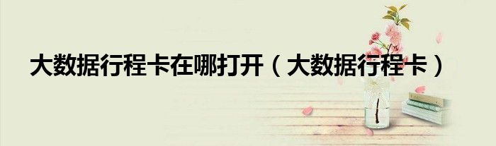 大数据行程卡在哪打开（大数据行程卡）