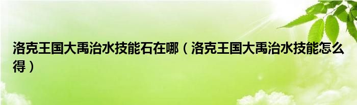 洛克王国大禹治水技能石在哪（洛克王国大禹治水技能怎么得）