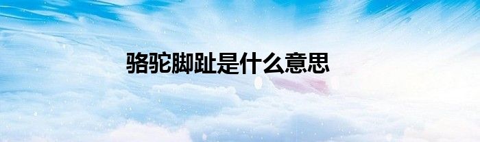 骆驼脚趾是什么意思