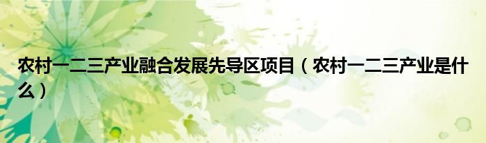 农村一二三产业融合发展先导区项目（农村一二三产业是什么）