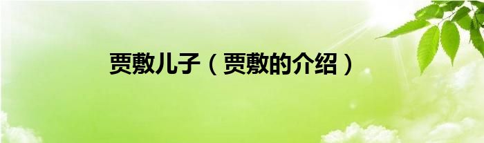 贾敷儿子（贾敷的介绍）