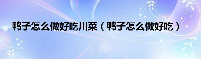 鸭子怎么做好吃川菜（鸭子怎么做好吃）