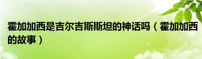 霍加加西是吉尔吉斯斯坦的神话吗（霍加加西的故事）