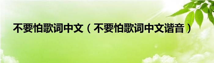 不要怕歌词中文（不要怕歌词中文谐音）