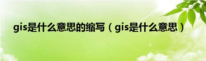 gis是什么意思的缩写（gis是什么意思）