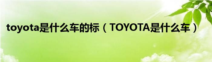 toyota是什么车的标（TOYOTA是什么车）