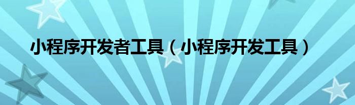 小程序开发者工具（小程序开发工具）