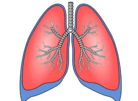 肺癌研究发现EGFR抑制剂后治疗耐药的新靶点