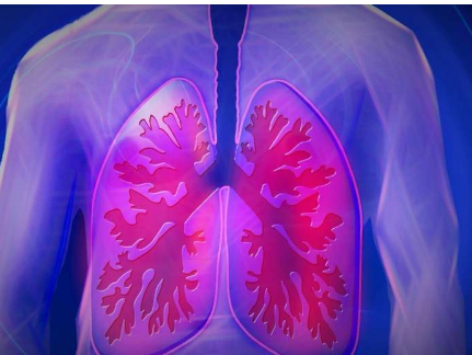 儿童的肺活量在更清洁的空气中有所改善