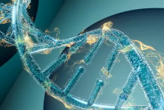 DNA测序可能有助于预测患者肾癌复发的风险