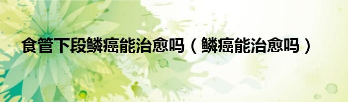 食管下段鳞癌能治愈吗（鳞癌能治愈吗）