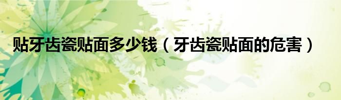 贴牙齿瓷贴面多少钱（牙齿瓷贴面的危害）