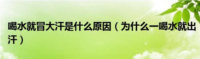 喝水就冒大汗是什么原因（为什么一喝水就出汗）