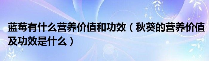 蓝莓有什么营养价值和功效（秋葵的营养价值及功效是什么）