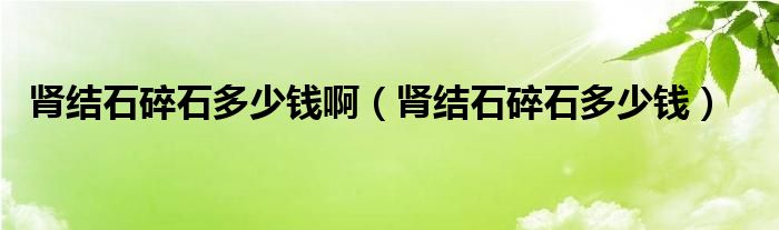 肾结石碎石多少钱啊（肾结石碎石多少钱）