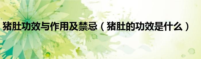 猪肚功效与作用及禁忌（猪肚的功效是什么）