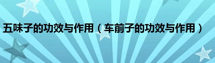 五味子的功效与作用（车前子的功效与作用）
