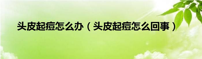 头皮起痘怎么办（头皮起痘怎么回事）