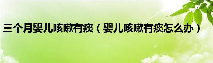 三个月婴儿咳嗽有痰（婴儿咳嗽有痰怎么办）
