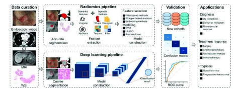 人工智能改善消化道癌症诊断 但数据共享障碍依然存在