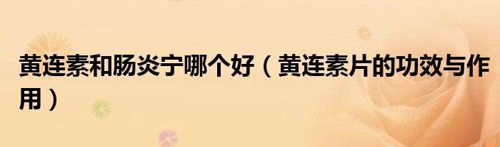黄连素和肠炎宁哪个好（黄连素片的功效与作用）