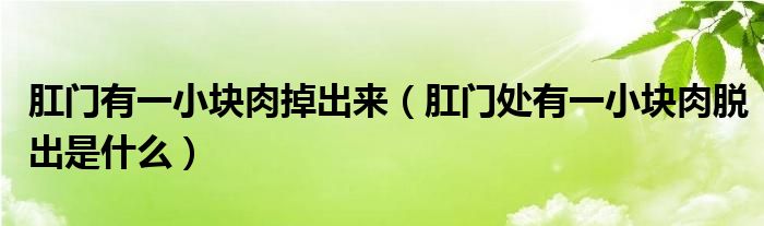 肛门有一小块肉掉出来（肛门处有一小块肉脱出是什么）