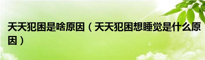 天天犯困是啥原因（天天犯困想睡觉是什么原因）
