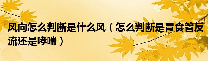 风向怎么判断是什么风（怎么判断是胃食管反流还是哮喘）