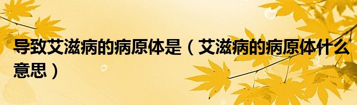 导致艾滋病的病原体是（艾滋病的病原体什么意思）