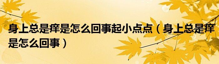 身上总是痒是怎么回事起小点点（身上总是痒是怎么回事）