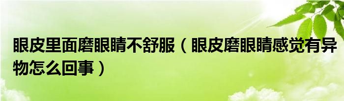 眼皮里面磨眼睛不舒服（眼皮磨眼睛感觉有异物怎么回事）