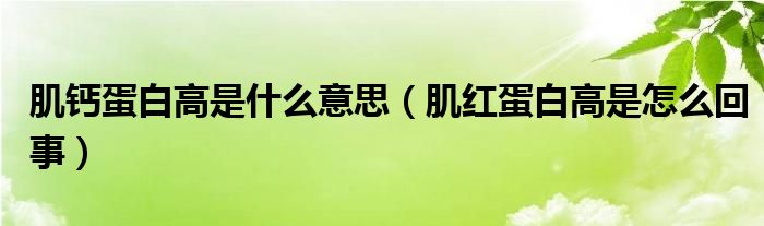 肌钙蛋白高是什么意思（肌红蛋白高是怎么回事）