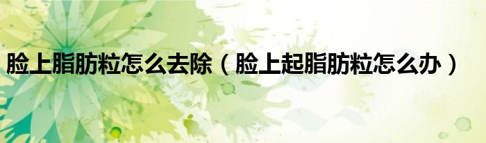 脸上脂肪粒怎么去除（脸上起脂肪粒怎么办）