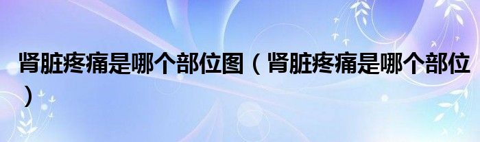肾脏疼痛是哪个部位图（肾脏疼痛是哪个部位）
