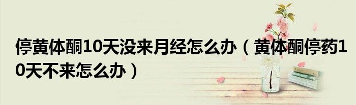 停黄体酮10天没来月经怎么办（黄体酮停药10天不来怎么办）
