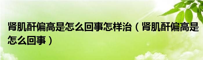 肾肌酐偏高是怎么回事怎样治（肾肌酐偏高是怎么回事）