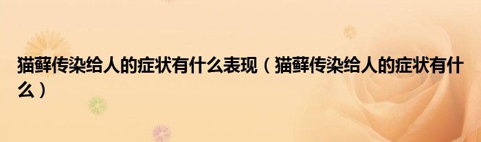 猫藓传染给人的症状有什么表现（猫藓传染给人的症状有什么）