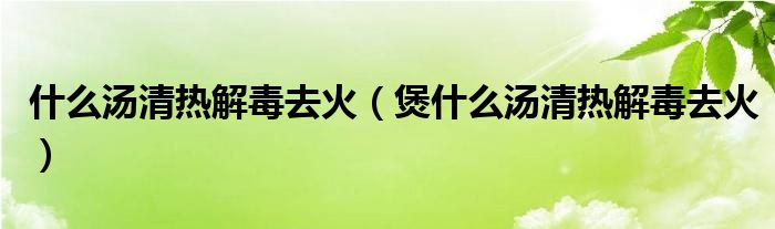 什么汤清热解毒去火（煲什么汤清热解毒去火）