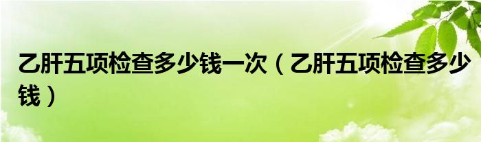 乙肝五项检查多少钱一次（乙肝五项检查多少钱）