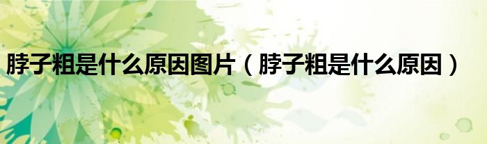 脖子粗是什么原因图片（脖子粗是什么原因）