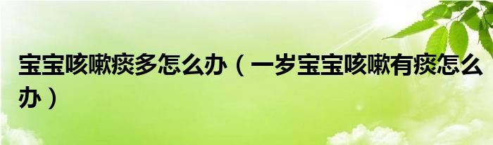 宝宝咳嗽痰多怎么办（一岁宝宝咳嗽有痰怎么办）