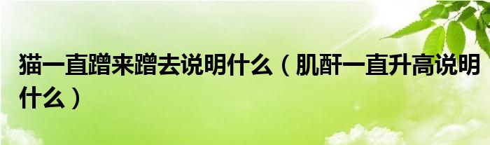 猫一直蹭来蹭去说明什么（肌酐一直升高说明什么）