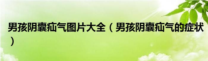 男孩阴囊疝气图片大全（男孩阴囊疝气的症状）
