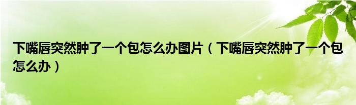 下嘴唇突然肿了一个包怎么办图片（下嘴唇突然肿了一个包怎么办）